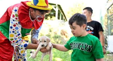 Kedi ve köpekleri elleriyle beslediler