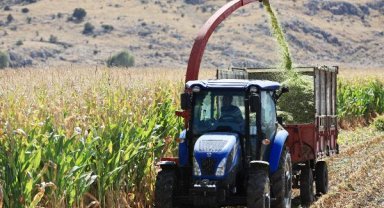 Taşkesiği’nde hasat zamanı
