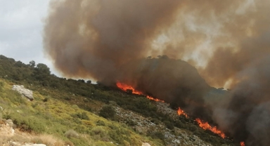 Makilik ve tarımsal alanda yangın