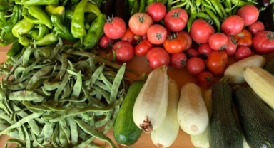 Meyve sebze cep yakacak!