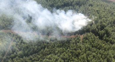 Muğla'da çıkan orman yangını söndürüldü