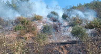 Muğla'da tarım alanında yangın çıktı
