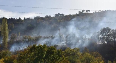 Orman yangını panik yarattı