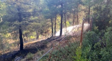 Orman yangını söndürüldü