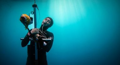 Cumhuriyet için dalacak