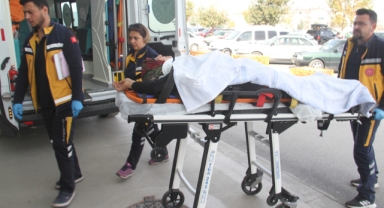 Sokak köpekleri faciası; Ağır yaralandı