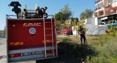 Tarım arazisinde yangın