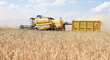 Tarım Ürünleri Üretici Fiyat Endeksi açıklandı