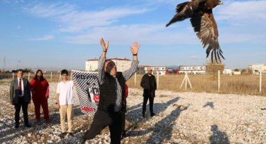 Tedavileri tamamlanan kartal ve şahin doğaya salındı