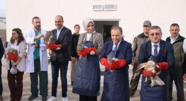 Tedavisi tamamlanan kuşlar doğaya salındı