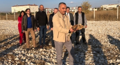 Tedavisi tamamlanan şahin ve kartal doğaya salındı