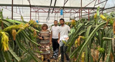 Tropik Meyve Yetiştiriciliği dersi