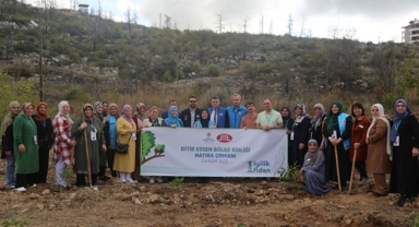 800 bin fidan toprakla buluşacak