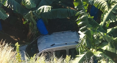 Araç muz bahçesine devrildi, sürücü yaralandı