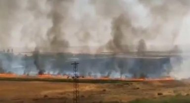 Çiftçi bindiği dalı kesiyor