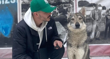 'Başakşehir'deki aç kurtlar' bakın ne çıktı!