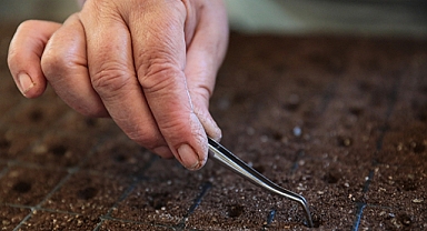 Çiçek ve bitkilerden 22 milyonluk tasarruf 