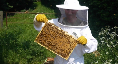 Büyükşehir’den arıcılara kovan desteği