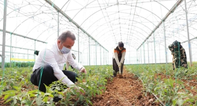 Büyükşehir’den ücretsiz eğitim