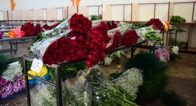 Çiçek mezatlarında Öğretmenler Günü yoğunluğu