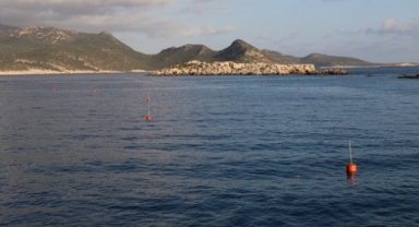 Deniz çayırları şamandıralar yardımıyla korunacak