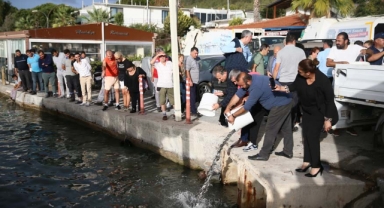 Denizden 15 ton atık çıkarıldı