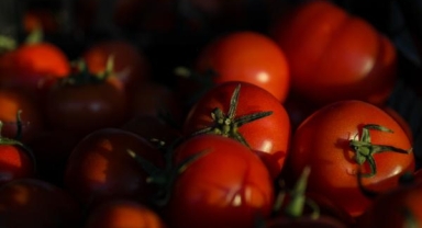 Ekim hal endeksi açıklandı