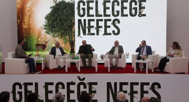 Eski Maden Sahalarının Rehabilitasyonu