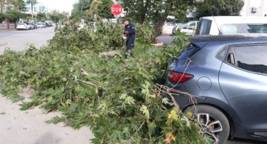 Fırtına ağacı devirdi; otomobilin üstüne düştü