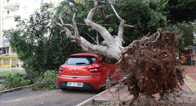 Fırtına tekneleri batırdı, ağaçları devirdi