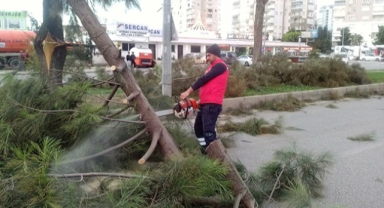 Fırtınanın etkileri siliniyor