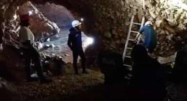 İnsanlar Akdeniz fokunun neslini tehlikeye sokuyor