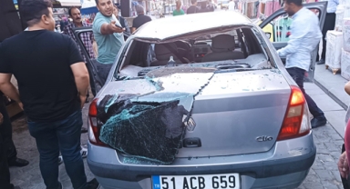 Keçi otomobilin üzerine düştü