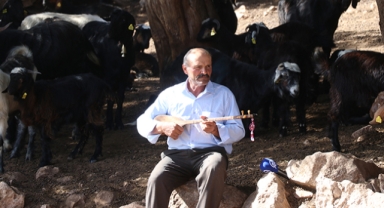 Keçilerinin peşinde 50 yıldır cura çalıyor