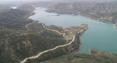 Küle dönen ormanlarda fidanlar toprakla buluştu