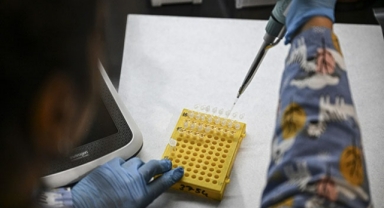 Nadir hastalıklara karşı 