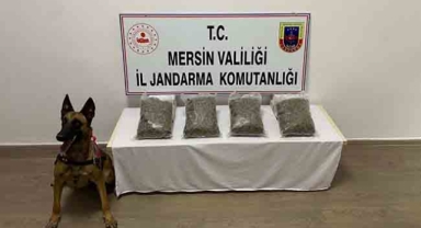 Narkotik köpeğinden kaçamadılar