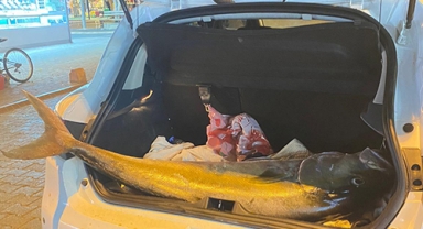 Olta ile 41 kg’lık akya yakaladı 