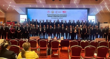 Orman Yönetimi Çalıştayı başladı