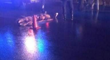 Otomobilin çarptığı yaya öldü