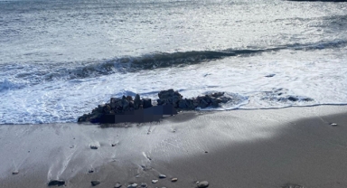 Sahilde 2 ceset bulundu