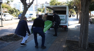 Sahilde kimliği belirsiz ceset