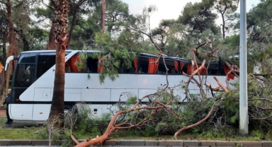 Servis otobüsünün üstüne ağaç devrildi 7 kişi yaralandı