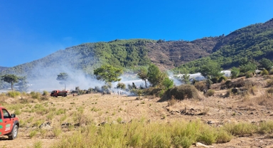 Tarım arazisinde çıkan yangın söndürüldü