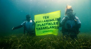 Çevrecilerden 1 milyon imza