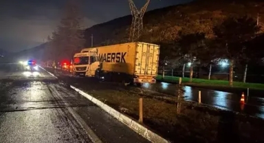 Tır refüjdeki ağaca çarptı