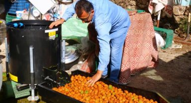 Üreticilere ceviz ayıklama ve salça makinesi