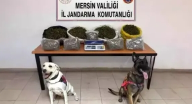 Uyuşturucu operasyonunda 4 gözaltı