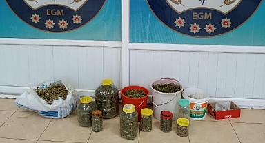 Turşu bidonunda uyuşturucu satışı!