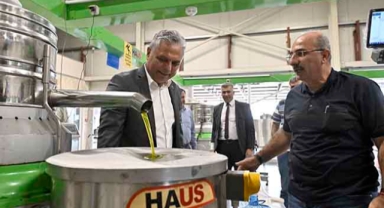 ‘Zeytin rekoltemizi arttırmamız lazım’ 